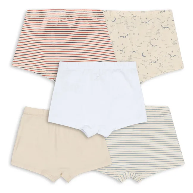 Pack of 5 Striped Organic Cotton Boxer Briefs | Beige