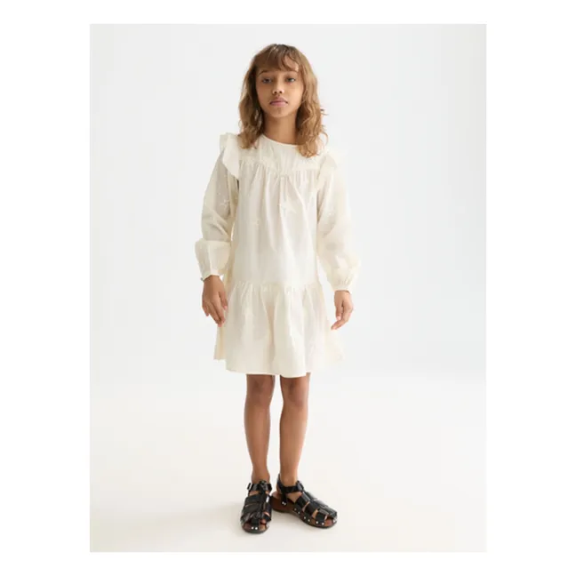 Besticktes Volant-Kleid | Seidenfarben