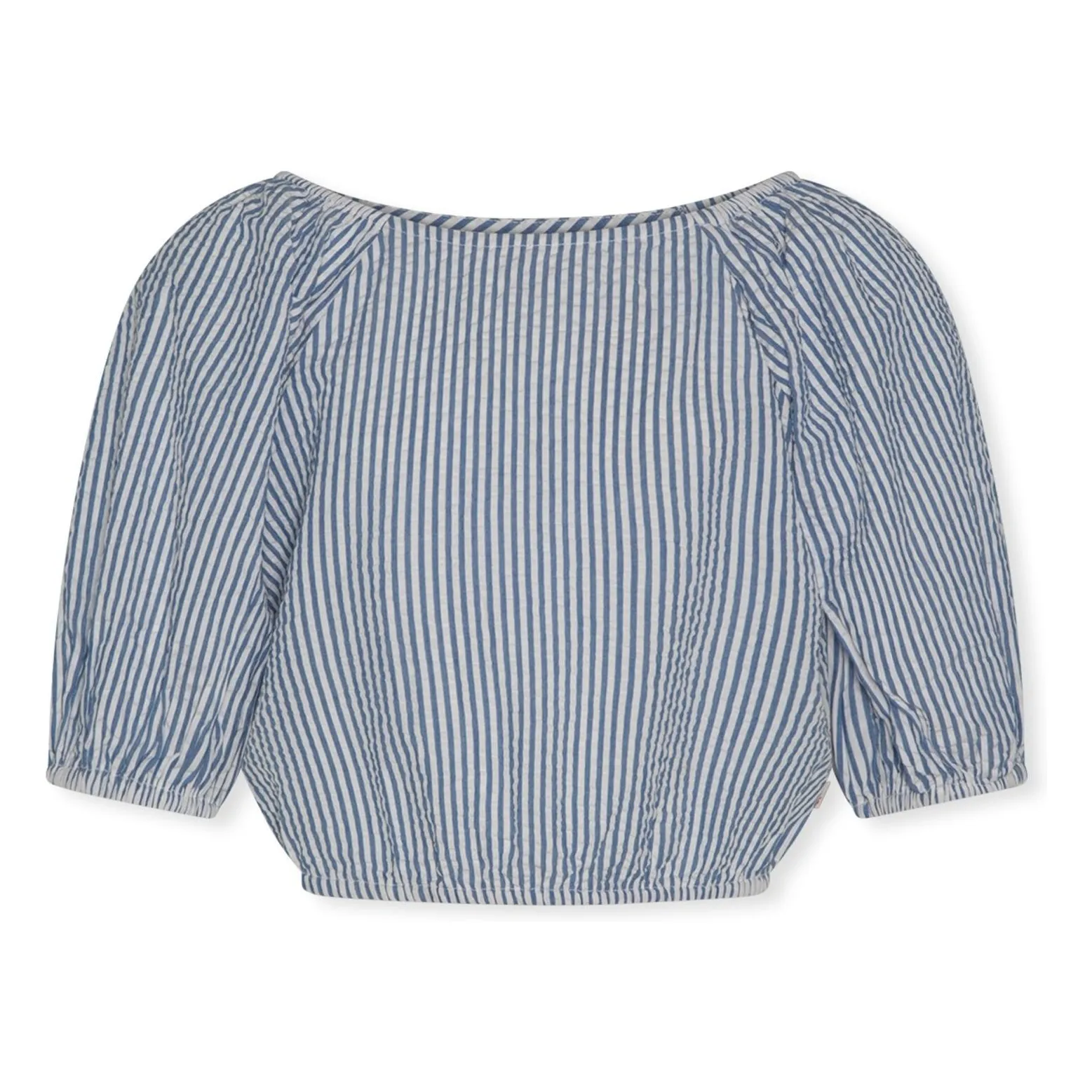 Ao76 Blue Striped Neha Blouse