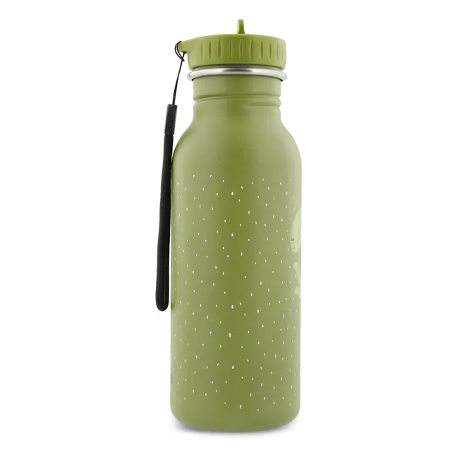 Gourde 500ml Mr Dino | Vert