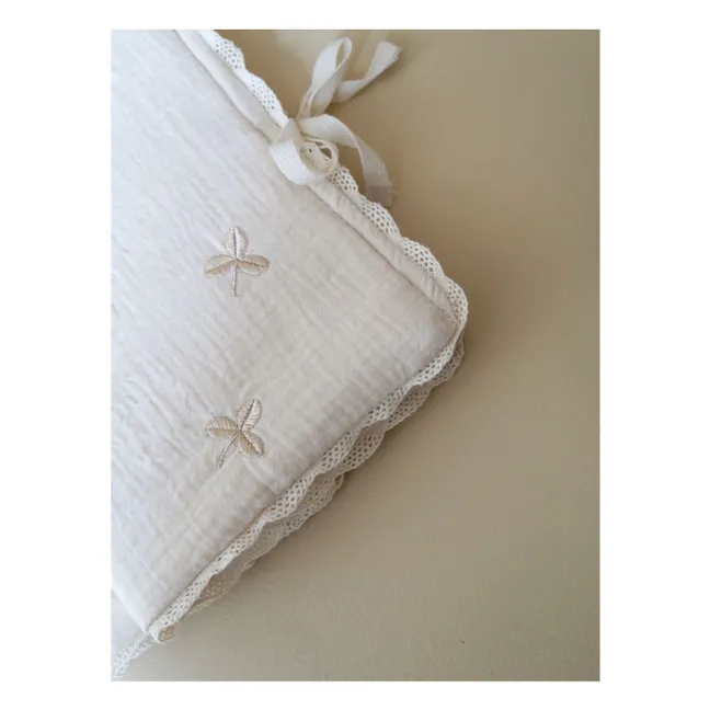 Shamrock health book cover