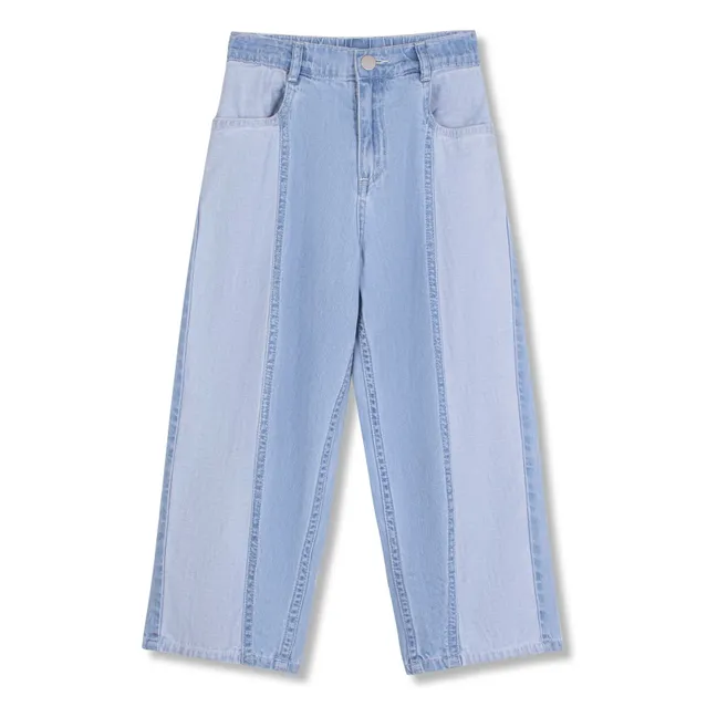 Jean Délavé | Bleu