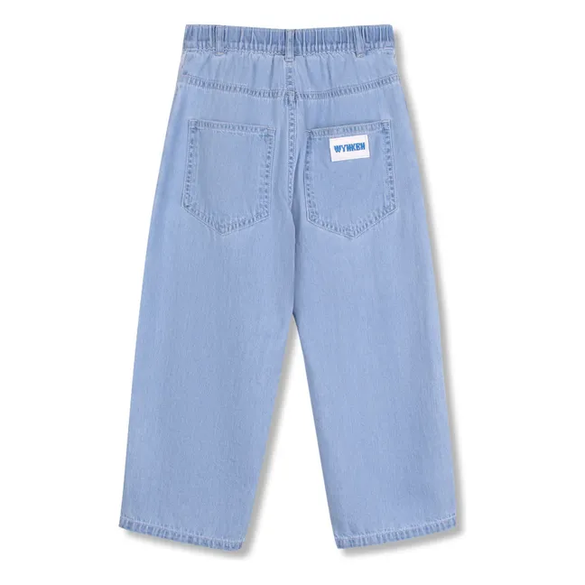 Jean Délavé | Bleu