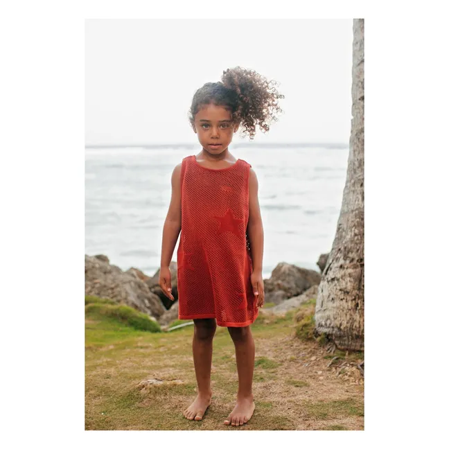 Kaya Maille Etoiles Dress | Rust