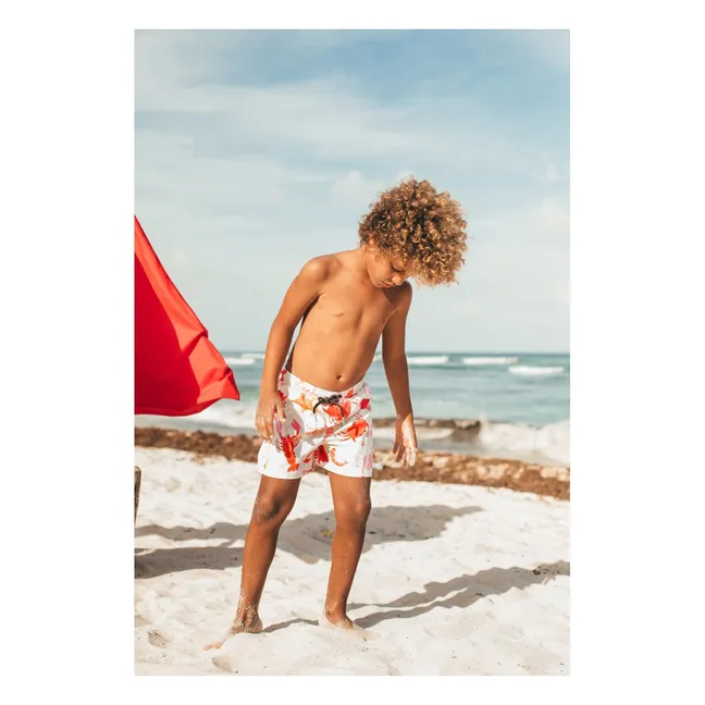 Short de baño Crustáceo | Crudo