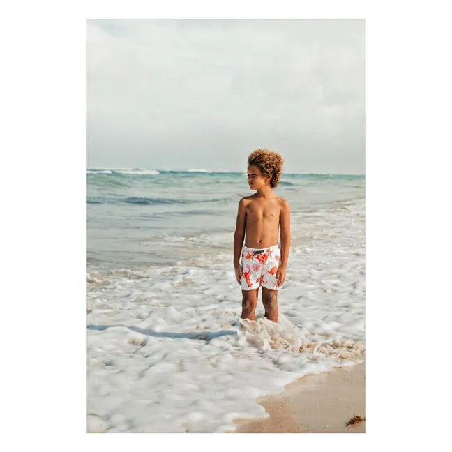 Short de baño Crustáceo | Crudo