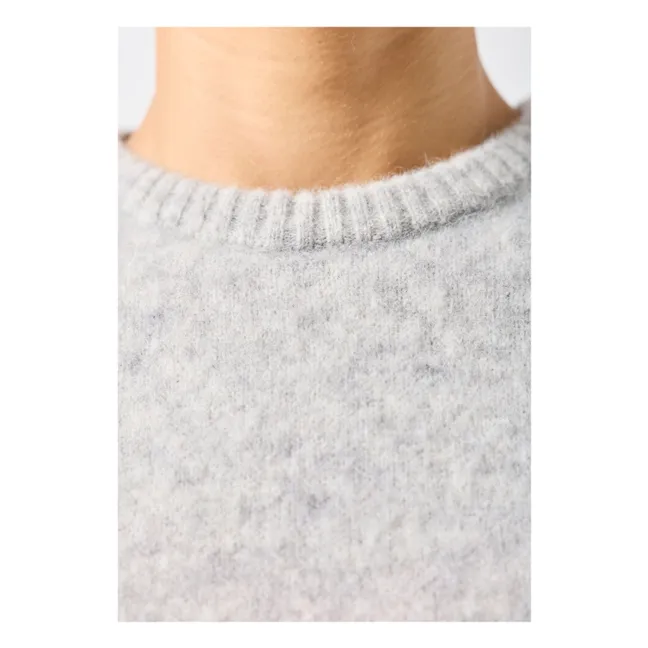 Jersey sin mangas de lana Vitow | Gris Claro