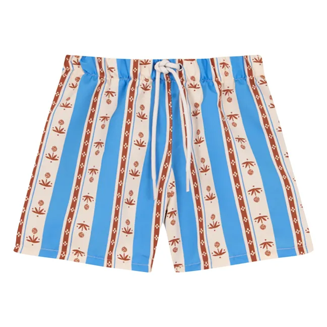 Sena Striped Swim Shorts | Azure blue
