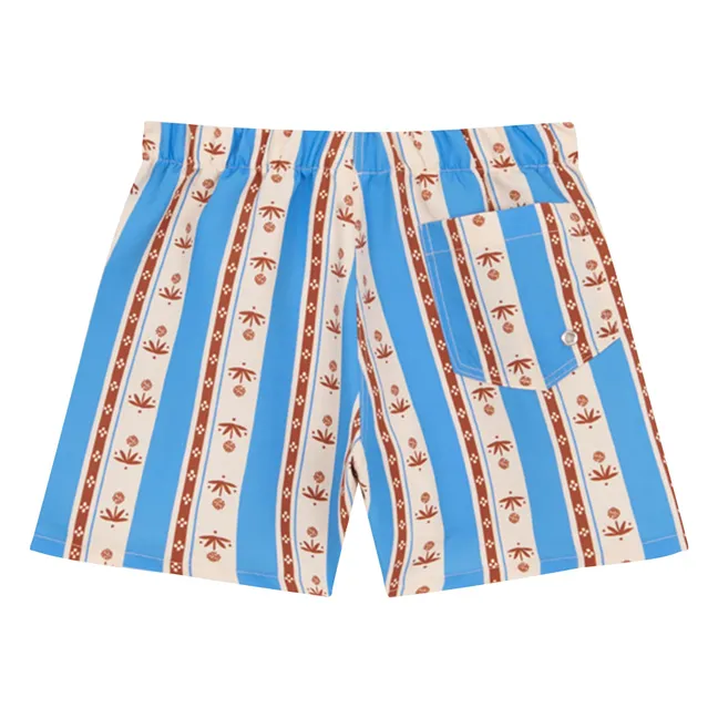Sena Striped Swim Shorts | Azure blue