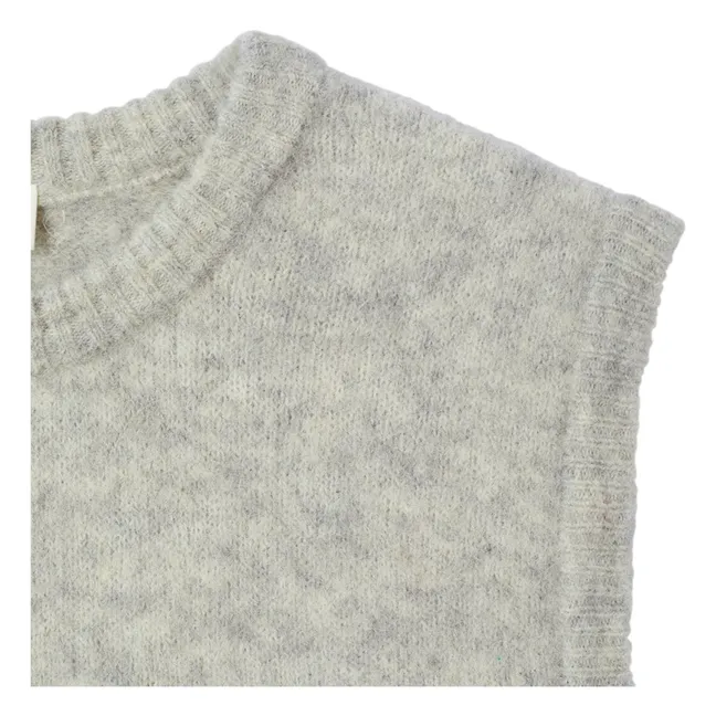 Jersey sin mangas de lana Vitow | Gris Claro