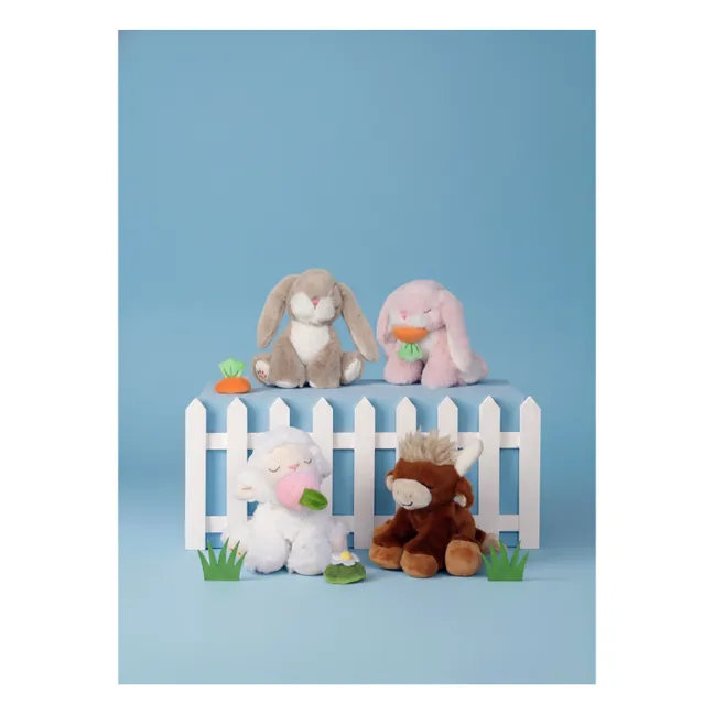 Felpa de conejo | Beige