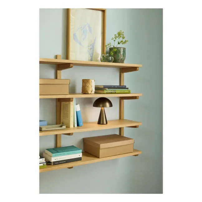 Long oak shelf