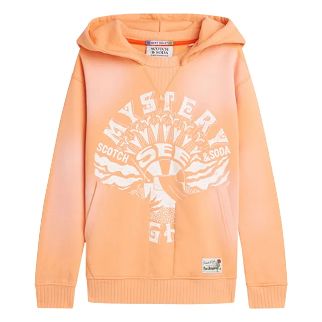 Sweat Capuche Artwork Mystery | Corail