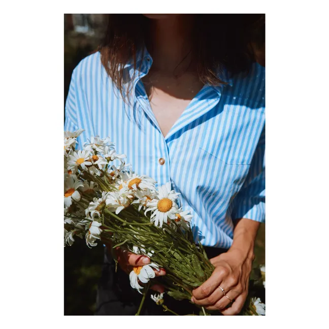 Caraway Stripes Cotton Poplin Shirt | Blue