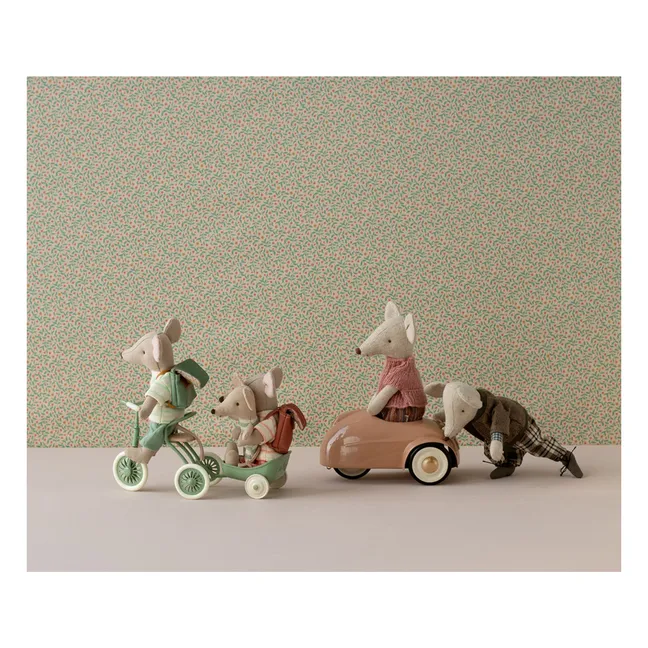Tricycle et son abri | Vert