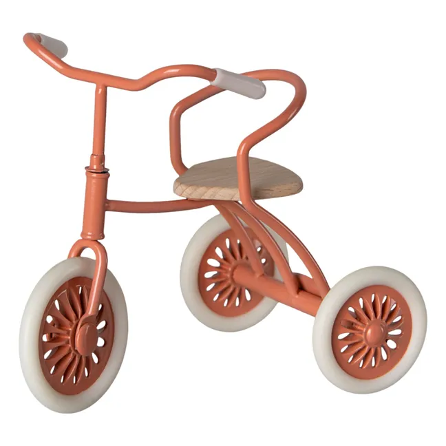 Tricycle and shelter | Coral