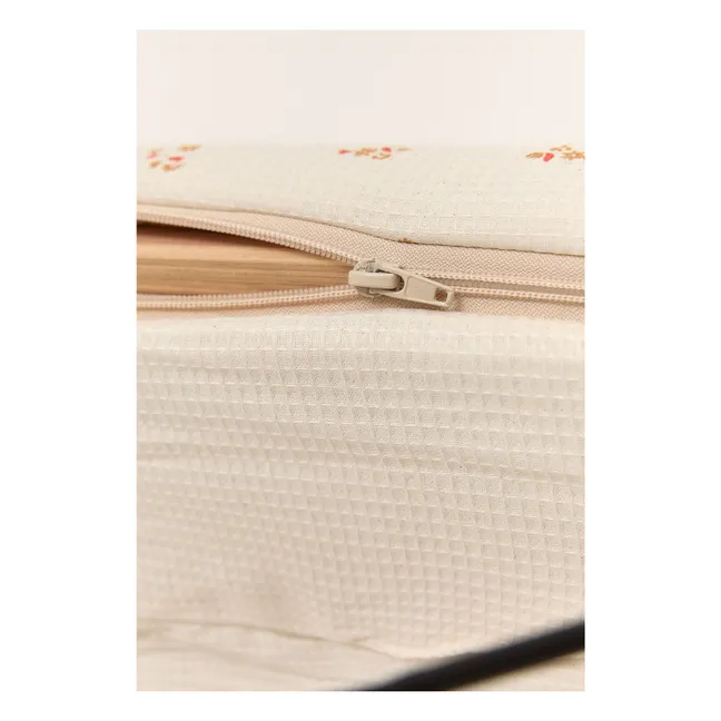 Transat Lirio amarillo verde en crecimiento