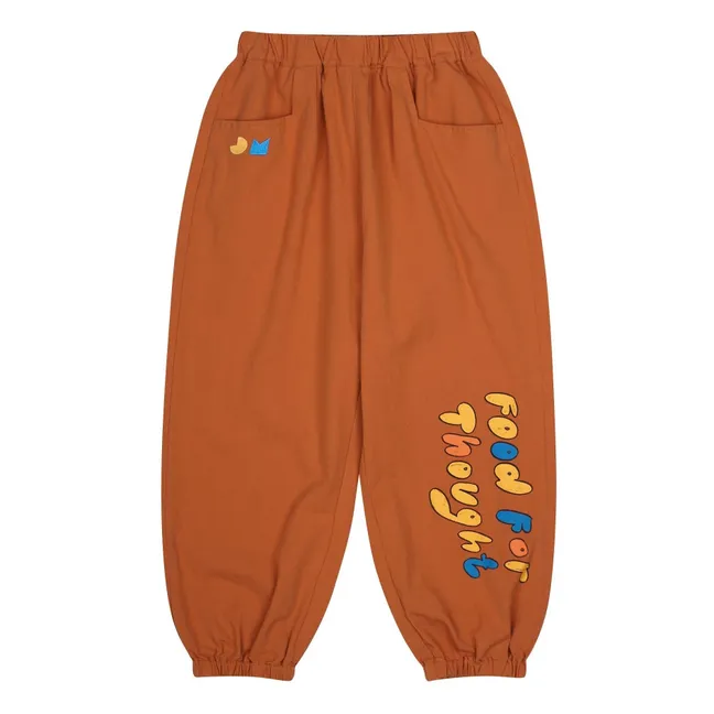 Aladdin Food For Thought pants | Brown