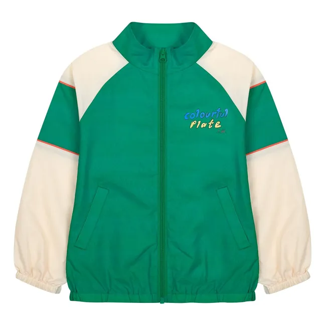 Cortavientos Colourful Plate | Verde