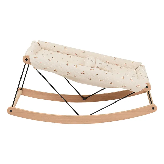 Transat Lirio amarillo verde en crecimiento