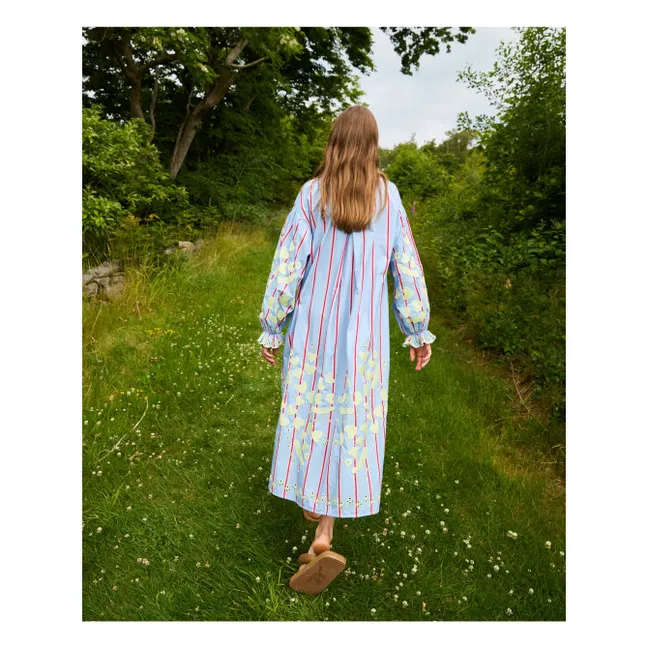 Robe Rayures Elisabeth | Bleu