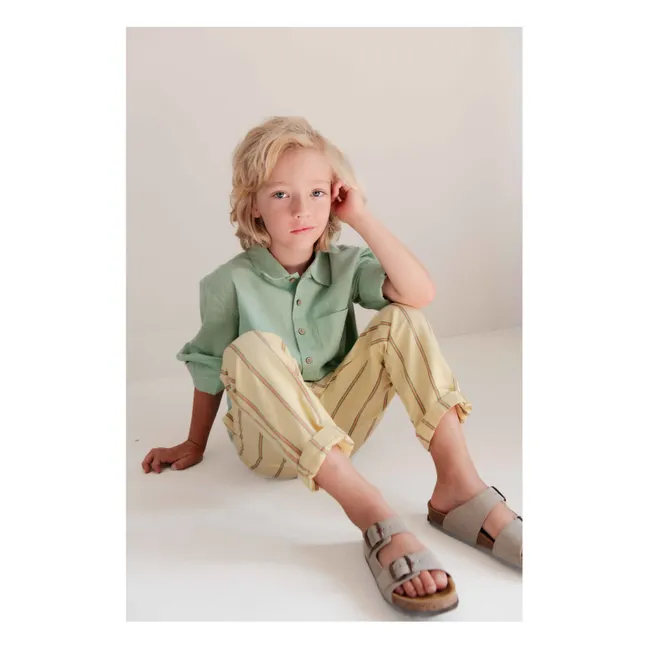 Lef Linen shirt | Almond green