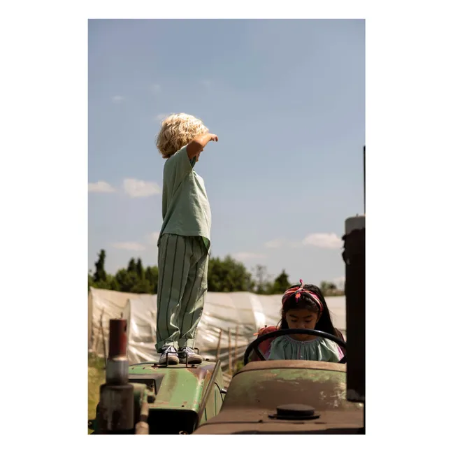 Camiseta oversize Ben On my Way Algodón orgánico | Verde Almendra