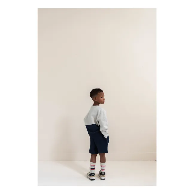 Color Block organic cotton sweatshirt | Light grey