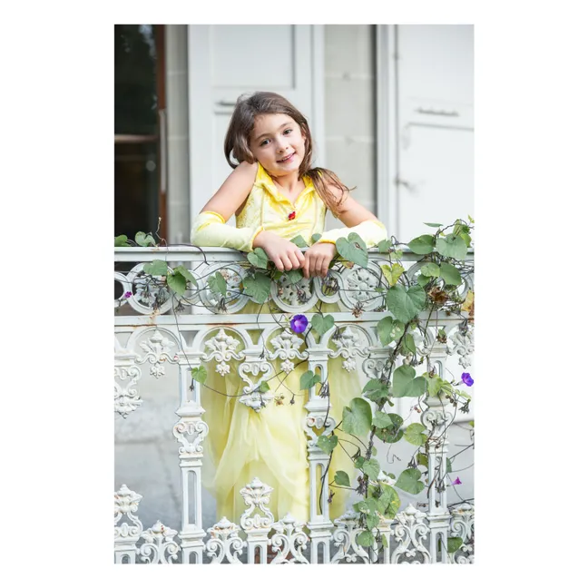  Déguisement Princesse 