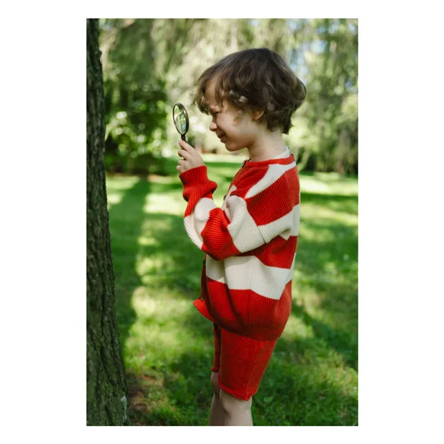 Explorer shorts Organic cotton | Red