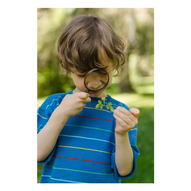 Camiseta de algodón orgánico con rayas botánicas | Azul