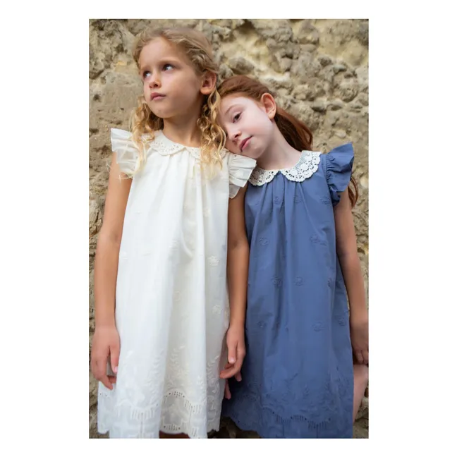 Robe Antonella | Bleu gris