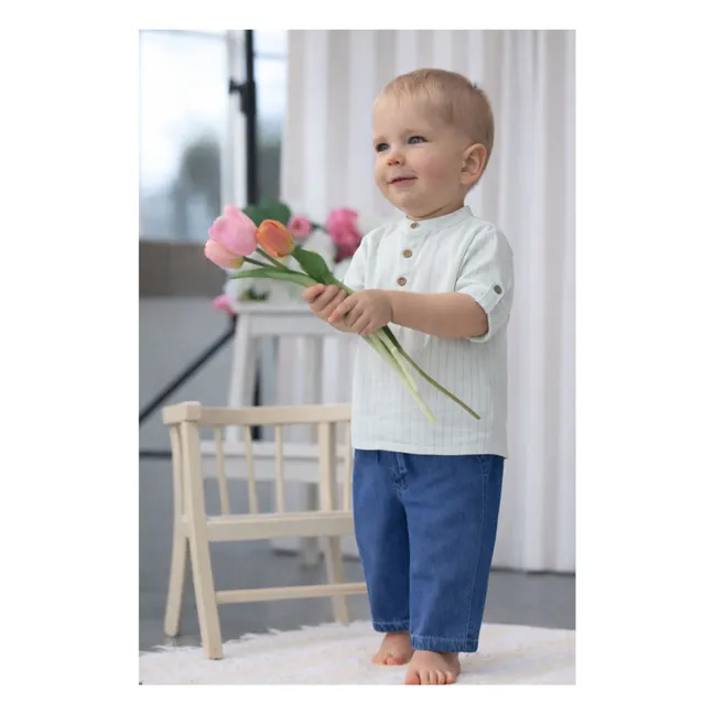 Chemise Côme Rayée Coton Bio | Vert Menthe