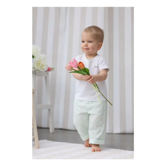 Pantalon Paul Rayé Twill Coton Bio | Vert Menthe