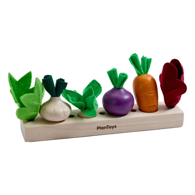 Graines et bulbes à planter