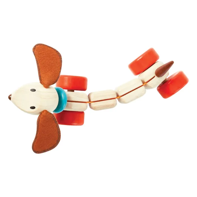 Chien à tirer Teck 