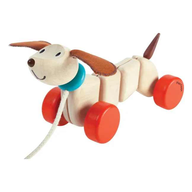 Chien à tirer Teck 
