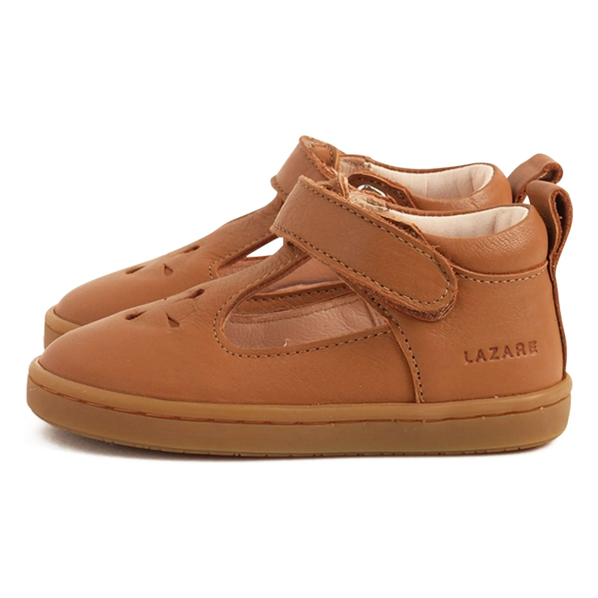 Lazare Camel Babies Pia Etoile