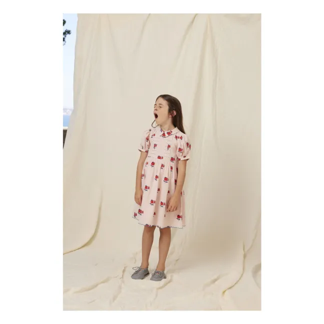 Robe Manches Bouffantes April Fleurs | Rose pâle
