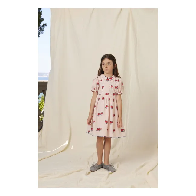 Robe Manches Bouffantes April Fleurs | Rose pâle