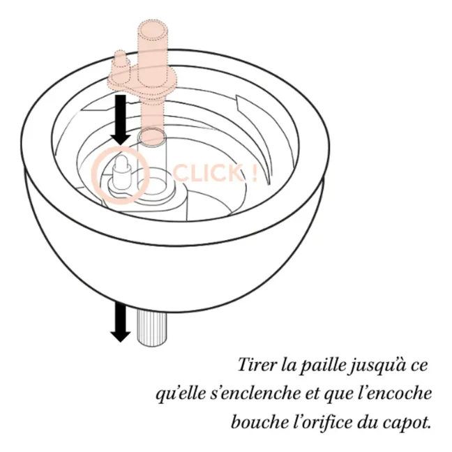 Taza de paja | Nude