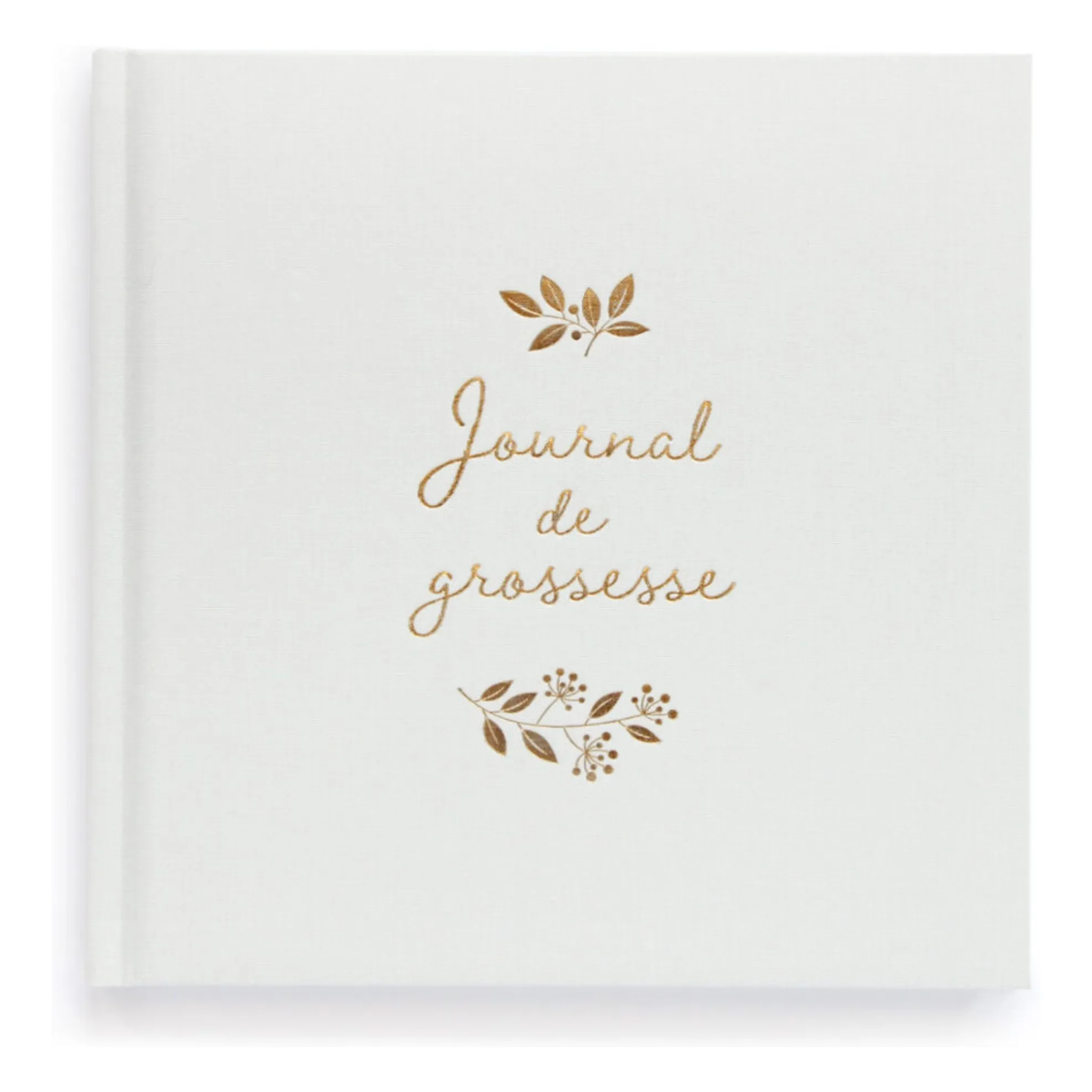 Placeholder vidéo du produit : Journal de grossesse