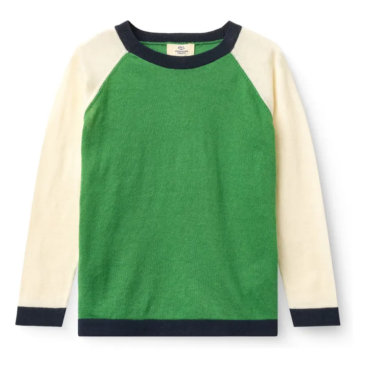 Camiseta Color Block Punto de algodón orgánico | Verde- Imagen del producto n°0