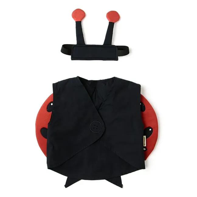 Disfraz de mariquita