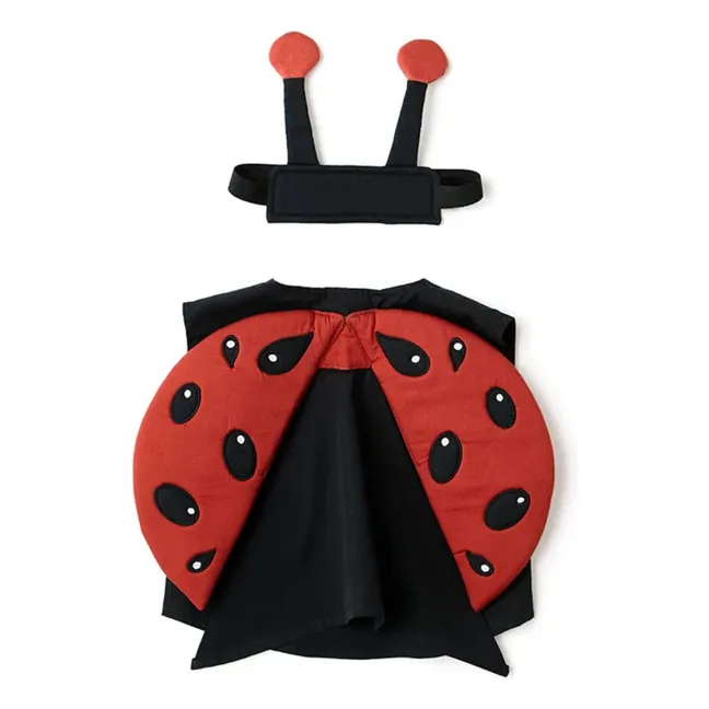 Disfraz de mariquita