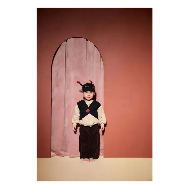 Disfraz de mariquita