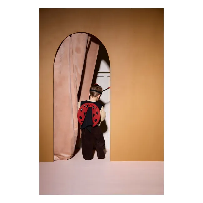 Disfraz de mariquita