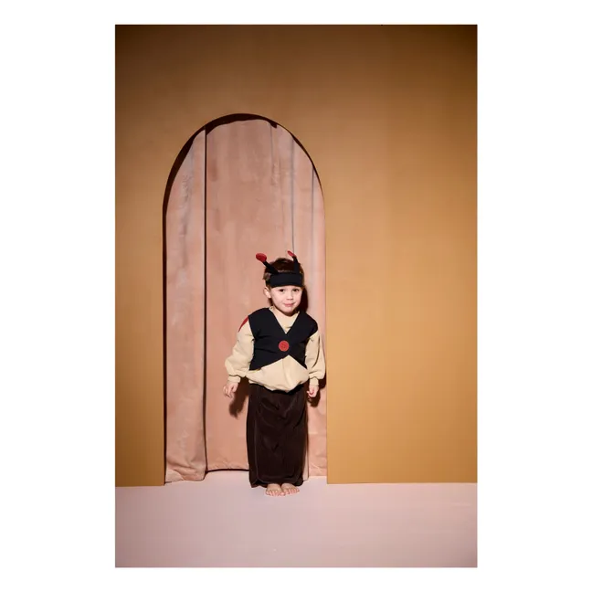 Disfraz de mariquita