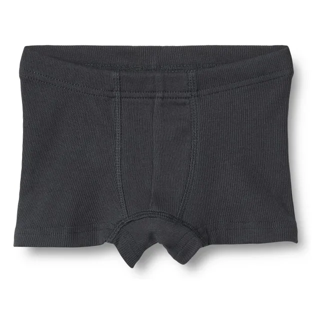 Lote de 2 calzoncillos Louis de algodón ecológico | Negro