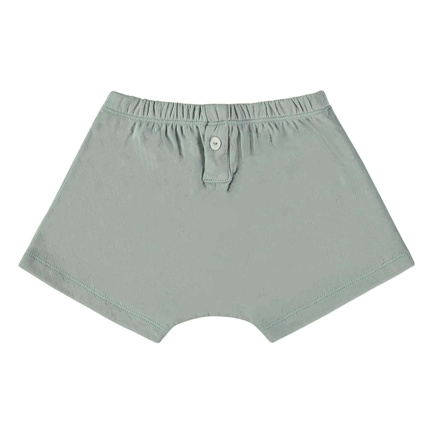 Risu Risu Boys Turquoise Boxer Nano Coton Bio